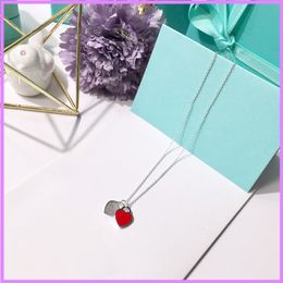 New Women Pendant Necklace Cute Double Heart Necklaces Designer Jewelry Lady Outdoor Titanium Steel Neck Chain Mens High Quality D219095F