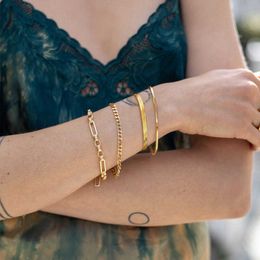 -Braccialetto catena di serpente in acciaio inox di fascino per le donne ragazze color oro colore herringbone link braccialetto gioielli bohémien goccia spedizione X0706