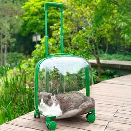 capsule case UK - Backpack Angel Pet Trolley Case Cat Bag Out Portable Suitcase Dog Backpack Large Capacity Space Capsule
