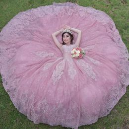Elegant Pink Quinceanera Dresses Applique Beading Sweet 16 Dress Sheer Neck Mexican Vestidos De 15 Xv Aos