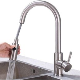 Kitchen Faucets SKY RAIN 2-jet Faucet Pull-out Tap Stainless Steel With Shower Mixer Sink Spray