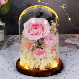 Valentine mãe dia casamento festa presente preservada flores imortal em cúpula de vidro com lâmpada flores decoração em casa q0812