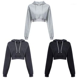 Autumn Women Solid Crop Long Sleeve Black Grey Hooded Pullover Coat Casual Harajuku Female Sweatshirt Top 3 Colors1