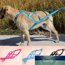 large sled Australia - Dog Sled Weight Pulling Harness Pet Mushing Harnesses for Large Work Dogs Training Dog Exercise Bikejoring Skijoring Scootering Factory price High-quality