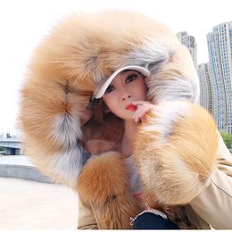 Women's Fur & Faux Women Short Jacket Coat Waterproof Raccoon Collar Winter Lined Female Real Overcoat