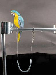 Other Bird Supplies 3M Ultra-light Parrot Harness Leash Anti-bite Outdoor Flying Training Rope Pet For Macaw Cockatiel Lovebird