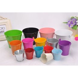 pequenos baldes de lata Desconto Festa de casamento Plantas em vasos Mini pequenos baldes de lata colorido sortido podem escolher a cor