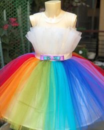 2021 Colourful Sheer Neck Ball Gown Tutu Flower Girl Dresses Fashion Tulle Elegant Lilttle Kids Birthday Pageant Weddding Gowns ZJ02