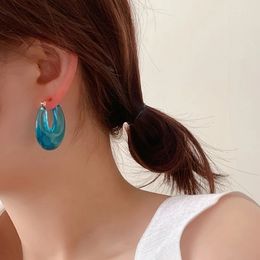 2021 New Fashion Transparent Resin Dangle Earrings for Women Girl Geometric Blue Brown Hoop Earrings Creative Drop Jewellery Gifts