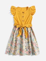 Toddler Girls 1pc Floral Print Ruffle Trim Belted Dress SHE01