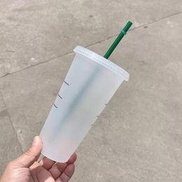 Plastic Mugs tumbler With Straw Lid Transparent Mermaid Goddess Coffee Cups Drinking Flat 24oz/710ml Reusable Clear Colour Changing Cup Tumbler Classic WLL1034