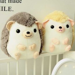 Lovely Cute Hedgehog Plush Toy Girls Soft Stuffed Hedgehog Animals Toys for Children Kids Friend Birthday Graduation Gift Q0727