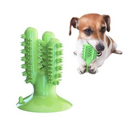 Dental Chew Toys for Dogs Healthy Fresh Puppy Teeth Cleaning Brush Cactus Large Breed Dog Molar Toothbrush Stick Pet Supplies 211111