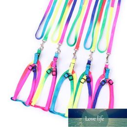 Dog Collars & Leashes Nylon Pet Cat Kitten Adjustable Colorful Harness Lead Leash Collar Belt Personalized Soft Leather1 Factory price expert design Quality Latest