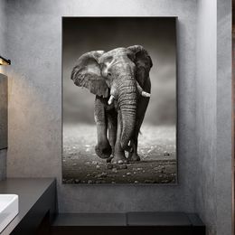 Elephant Posters Wall Painting For Living Room Home Decor Black And White Animal Canvas Pictures Prints NO FRAME