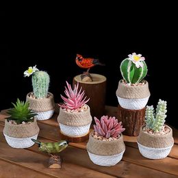 Decorative Objects & Figurines Succulent Cactus Simulation Small Potted Ornament Desktop Flower Pot Artificial Plants Arrangement Container