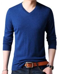 2021 Classic Men's Crocodile Sweaters Fall Winter V-neck Pullover Fashionable 100% Cotton Solid Color Long Sleeve Slim Sweater