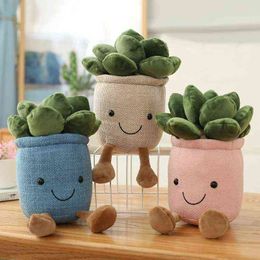 Creative 25cm Kawaii Succulent Pot Plush Soft Stuffed Anime Simulation Colourful Plants Flower House Decor For Friends Gifts Y211119