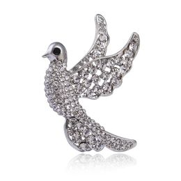 Pins, Brooches Ms Han Edition Of High-grade Fashion Set Auger Male General Brooch Cute Little Pigeons Direct Manufacturers