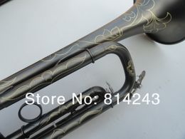 New Arrival Musical Instrument Unique Grind Arenaceous Black Nickel Plated Surface Exquisite Carve Patterns High Quality Bb Trumpet