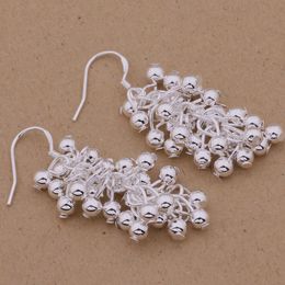 Fashion Luxurious glamour ashion (Jewelry Manufacturer) 20 pcs a lot earrings 925 sterling silver jewelry factory price Fashion