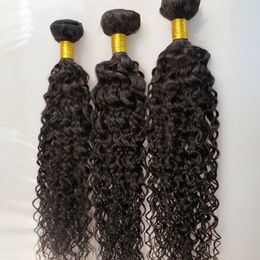 Mink Virgin Human Hair Extensions Brazilian Hair Bundles Jerry Curly Wefts Unprocessed Peruvian Indian Mongolian Human Hair Weaves Wholesale
