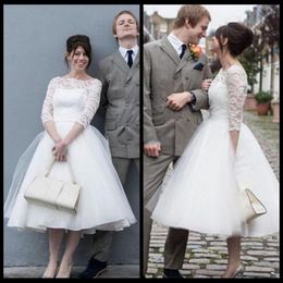 plus size petite canada