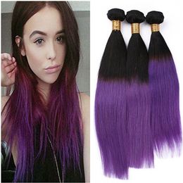 Dark Purple Hair Dye Canada Best Selling Dark Purple Hair Dye