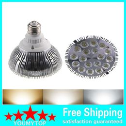 Dimmable Led 10 pcs lot bulb par38 85-240V 18W E27 par 38 LED Lighting Spot Lamp light downlight