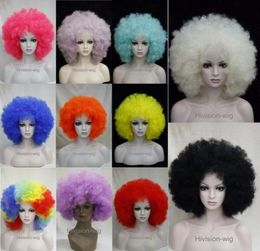 free shipping beautiful charming hot Fashion 11 Colours Afro wig fluffy Cosplay Anime Carnival party Wigs Hivision #6018