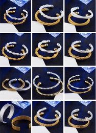 Mix 12 style Plate silver plated Gold Snake chain shape of the network Twisted rope Opening Bracele Fashion Jewellery woman Bangle