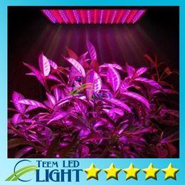 Led Grow Lamp 225 LED Hydroponic Plant Grow Light Panel Red/Blue 15W LED Plant Grow Lights 225 LEDs Panel Lights 110-220V 10