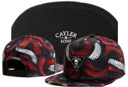 Toptan-2015 cayler yılan snapback şapka ayarlanabilir spor üçgen beyzbol şapkası erkekler kadınlar için ücretsiz kargo