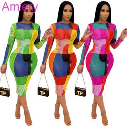 Women Long Sleeve Mesh Skirt Fashion Digital Printing Screen Midi Dress Summer And Autumn Clothing 3 Colors