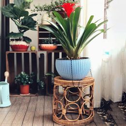 Natural Rattan Hand Woven Plant Holder Flower Stool Stand Shelf Handmade Indoor Gardening Decor 3 Different Sizes Planters & Pots