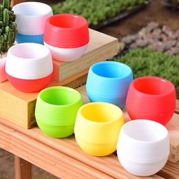 Colourful flower pots planters for succulents indoor herb mini potted plants for office decoration garden home accessories