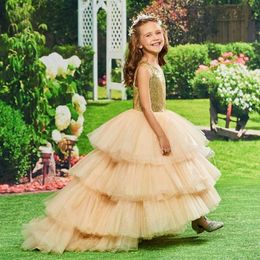 Pretty High Low Tiered Champagne Flower Girl Dree Long Tail Sequined Top Sleevele Kid Birthday Party Wedding Formal Wear Prom Pageant Gown Communion