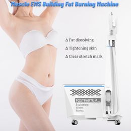 EMSLIM Body Slimming And Shaping HIEMT Beauty Machine For Mucle Build Fat Loss Buttock Lifting
