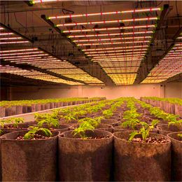 2021 bloomevg Full Spectrum Led Grow Light 640W LED Gardening Grow Plant Light