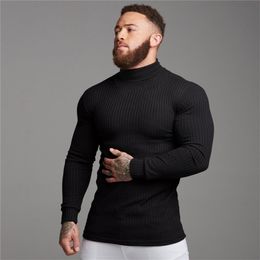 Autumn Winter Fashion Turtleneck Mens Thin Sweaters Casual Roll Neck Solid Warm Slim Fit Sweaters Men Turtleneck Pullover Male 211020