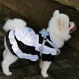 Dress Lolita Maid Summer Cat Dresses Skirt Pet Puppy Clothing Yorkshire Pomeranian Poodle Corgi Bichon Dog Clothes 2021