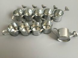 Party supplies Galvanised cans for small plant Decorative Silvery toy wedding Favour holders candy holder RH3326
