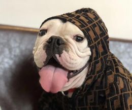 Autumn and Winter Dog Coat Fashion European and American Leisure Fadou Teddy Pet Wear