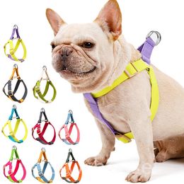 Rainbow Pet Chest Harness Set No Pull Adjustable Soft Harness and Leashes for Puppy Small Medium