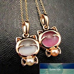 New Fashion Jewellery Lucky Cat Bohemian Statement Necklace Cat Eye Stone Pendant Necklace Female Elegant Necklace