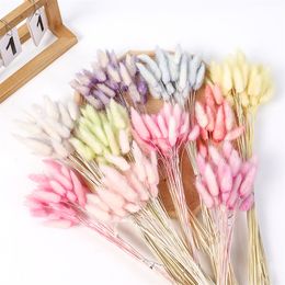 30PCS Natural Pink Bunny Tails Grass Dried Rabbit Grass Flowers Bouquet For Interior Decoration Accessories Photography Props