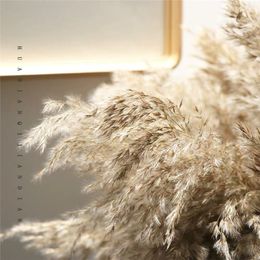Stems Raw Color Plume Wedding Decor Flower Bunch Small Pampas Grass Home Reed Natural Plant Ornaments Bouquet Dried Artificial Flowers Fall Fluffy Decoration