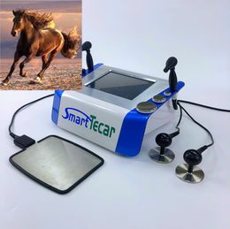 Equine Tecar Therapy Diathermy Physiotherapy Machine Health Gadgets Equipment For Horses Health Service