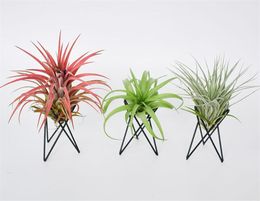 Wholesale Garden Decorations Air Plant Holder Tillandsia Base Modern Geometric Metal Stand Airplant Display Rack Tabletop Streptophylla Table Hand