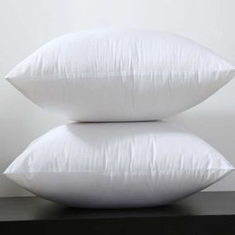 Square White Peached Fabric Cushion Insert Decorative Pillows PP cotton filling 450g for 45x45cm 380grams 30x50cm Sell by Piece 210611